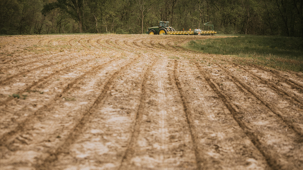 Planting Corn on No-Till Ground